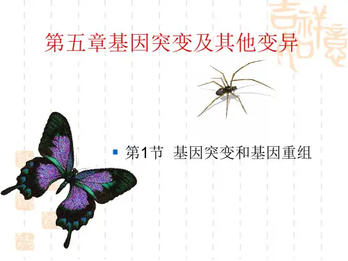 高中生物第五章基因突变及其他变异(1.基因突变和基因重组)教学课件