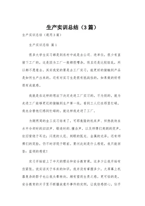 生产实训总结(3篇)