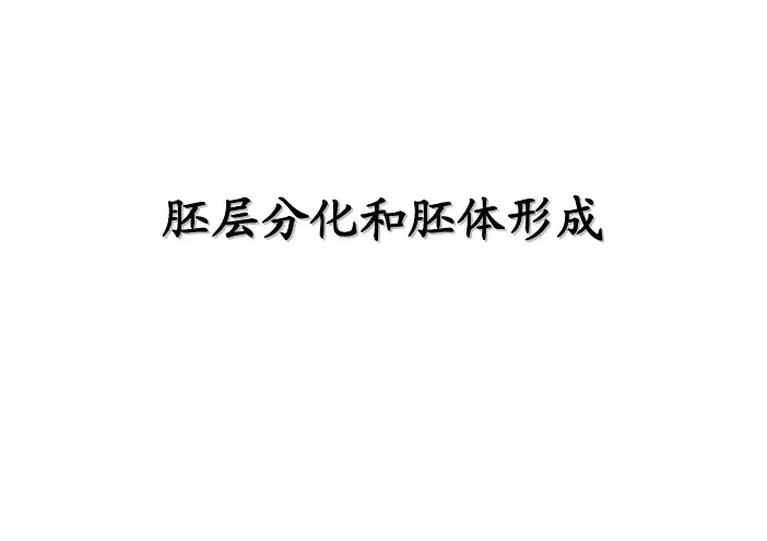 胚层分化和胚体形成
