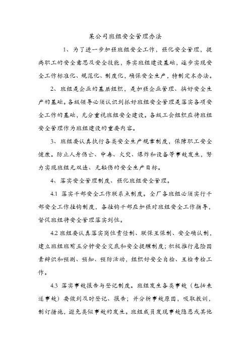 某公司班组安全管理办法.doc