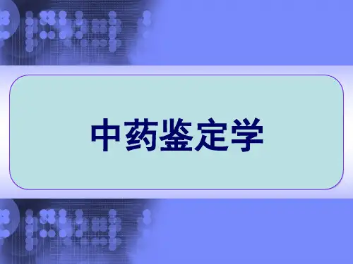 中药鉴定学 PPT
