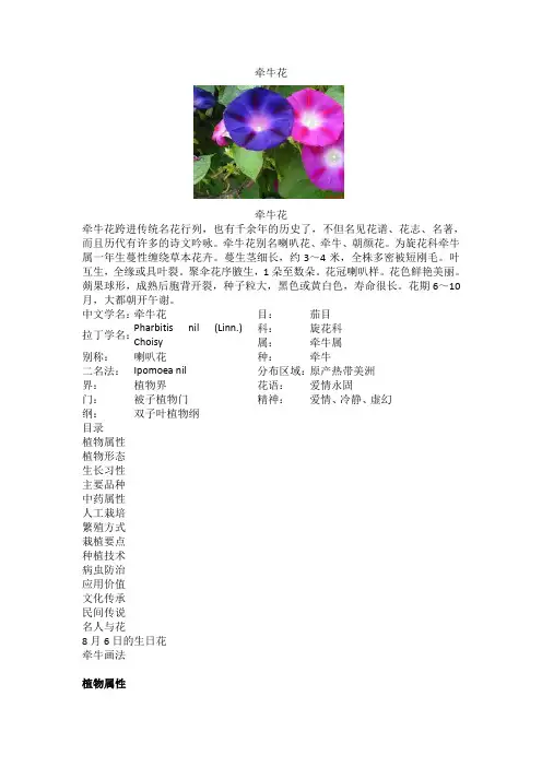 牵牛花