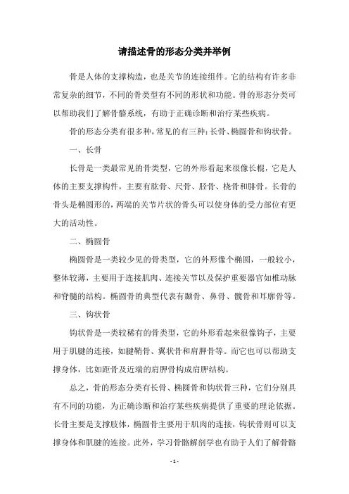 请描述骨的形态分类并举例