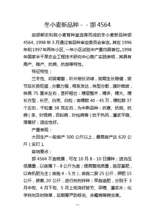 冬小麦新品种--邯4564
