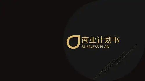 VR虚拟现实机器人娱乐平台商业计划书(PPT29页)