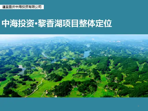(世联)中海投资黎香湖项目整体定位