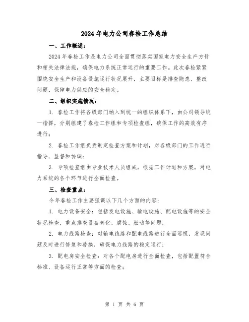 2024年电力公司春检工作总结(2篇)