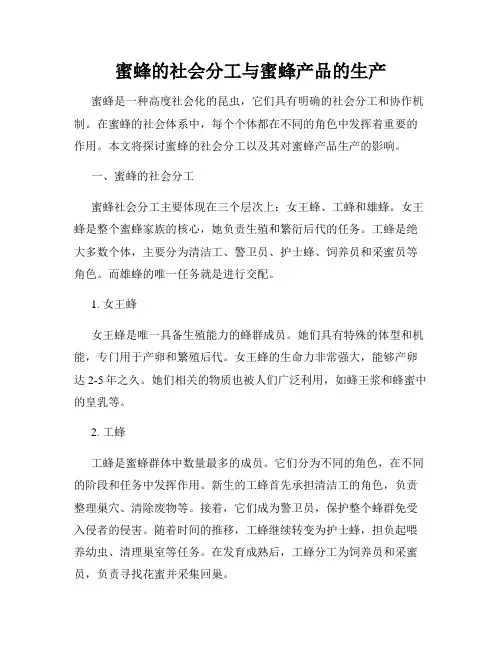 蜜蜂的社会分工与蜜蜂产品的生产