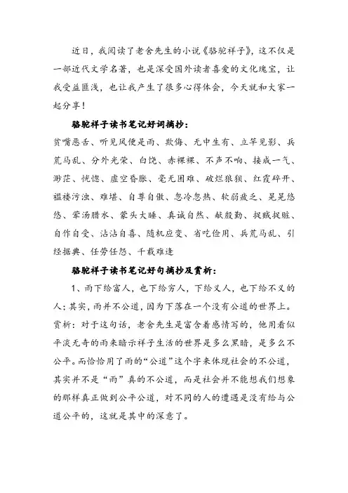 骆驼祥子读书笔记摘抄好词好句及感悟赏析