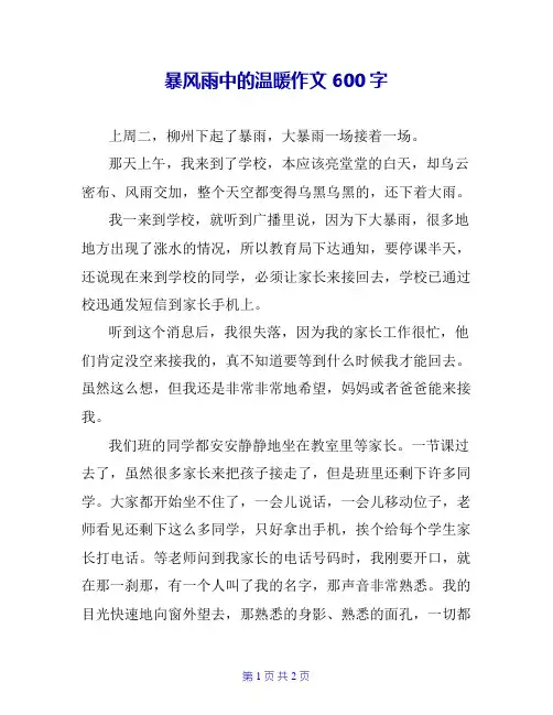 暴风雨中的温暖作文600字