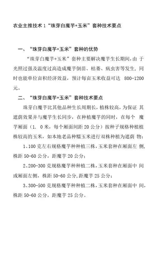 农业主推技术1“珠芽白魔芋 玉米”套种技术要点