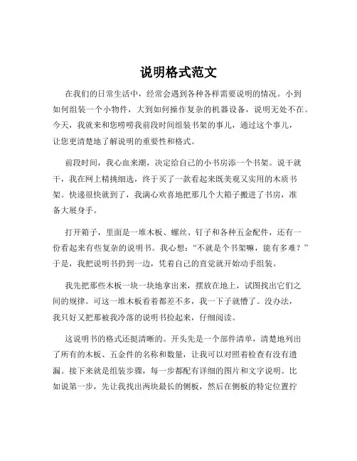 说明格式范文