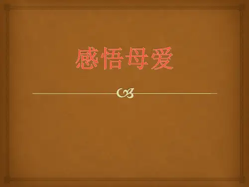 《感悟母爱》优质课件