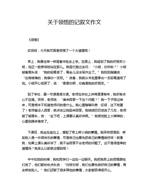 关于领悟的记叙文作文