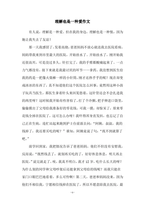 理解也是一种爱作文