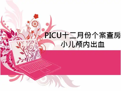 [医学]颅内出血 PPT课件