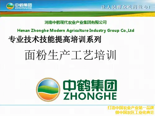 面粉生产工艺培训2
