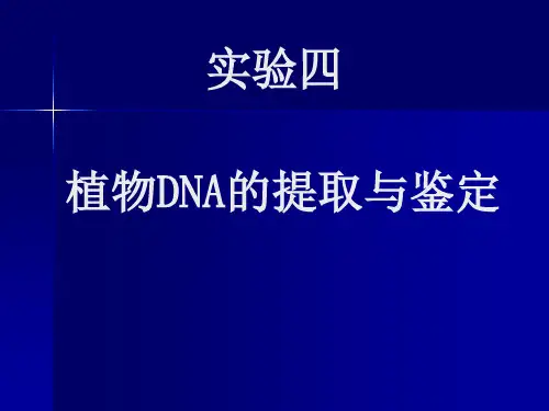 生化 实验四  植物DNA的提取和鉴定