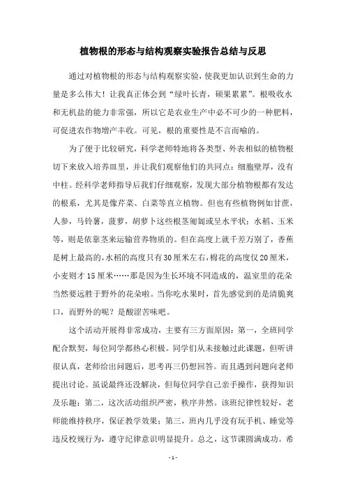 植物根的形态与结构观察实验报告总结与反思