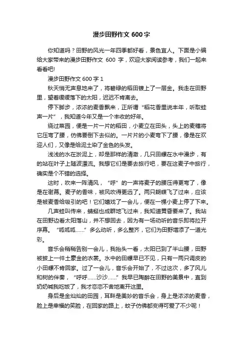 漫步田野作文600字