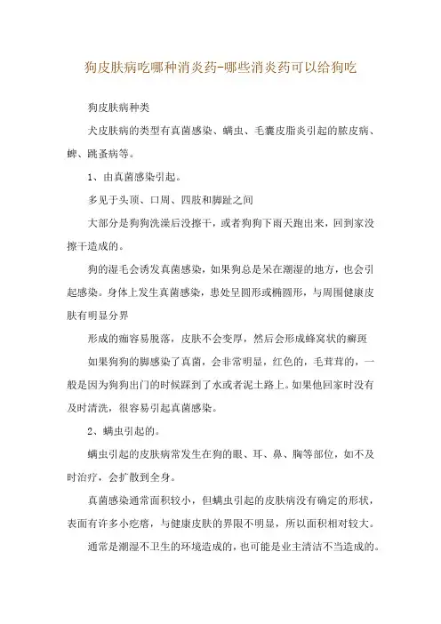 狗皮肤病吃哪种消炎药-哪些消炎药可以给狗吃