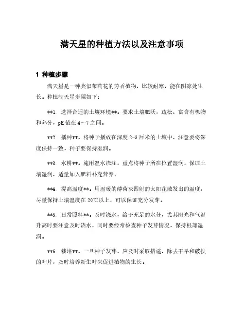 满天星的种植方法以及注意事项