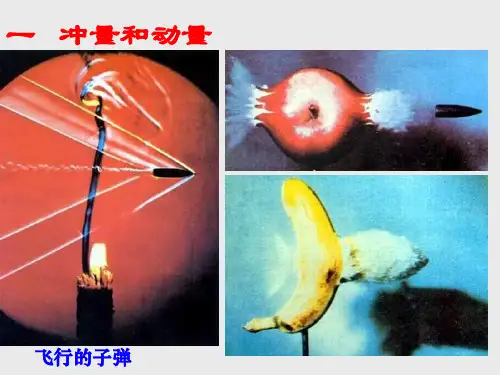 (完整版)动量基本知识