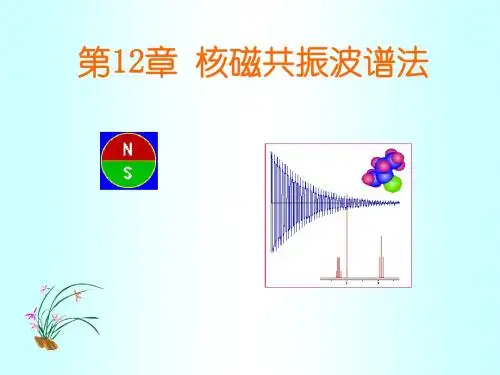 12 核磁共振波谱法