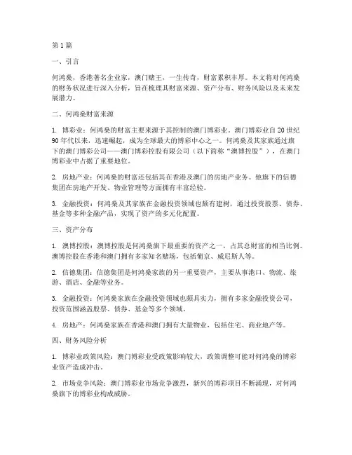 何鸿燊财务状况分析报告(3篇)