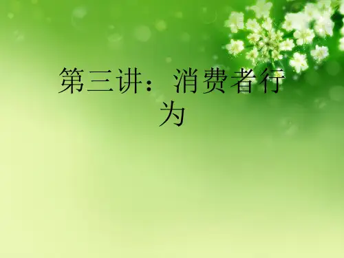 第三讲：消费者行为优秀课件
