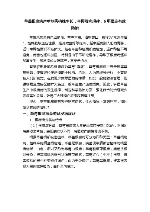 草莓根腐病严重危害植株生长，掌握发病规律，6项措施有效防治