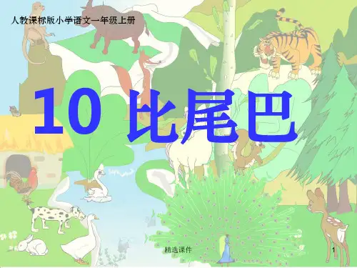 《比尾巴》整理(优秀课件)ppt课件