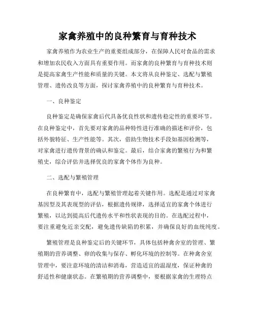 家禽养殖中的良种繁育与育种技术