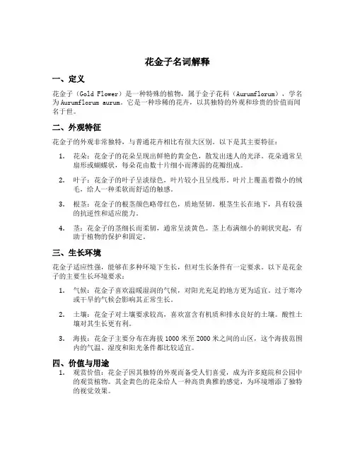 花金子名词解释