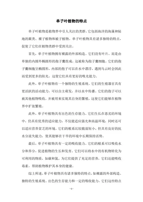 单子叶植物的特点