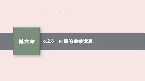 人教版高中数学必修2《向量的数乘运算》PPT课件