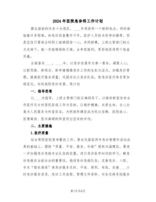 2024年医院急诊科工作计划（2篇）
