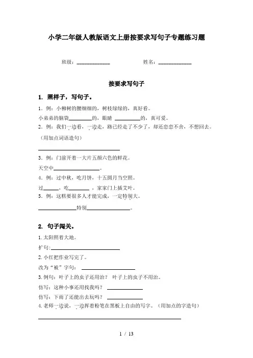 小学二年级人教版语文上册按要求写句子专题练习题