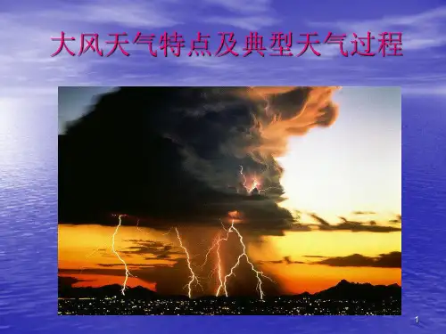 大风天气特点及典型天气过程