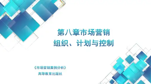 《市场营销案例分析》(林祖华)(第三版) 第八章 市场营销组织、计划与控制