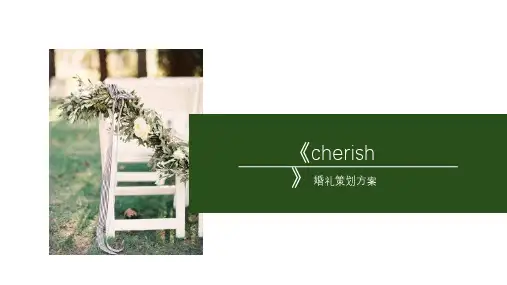 《cherish》策划ppt