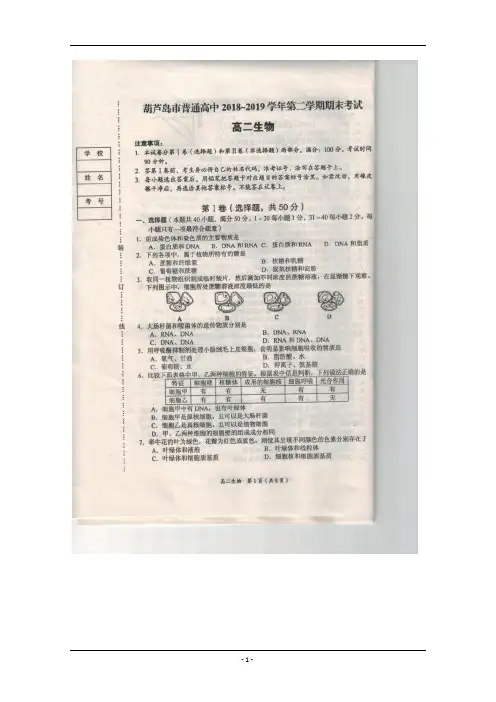 辽宁省葫芦岛市2018-2019学年高二下学期学业质量监测(期末) 生物 含答案