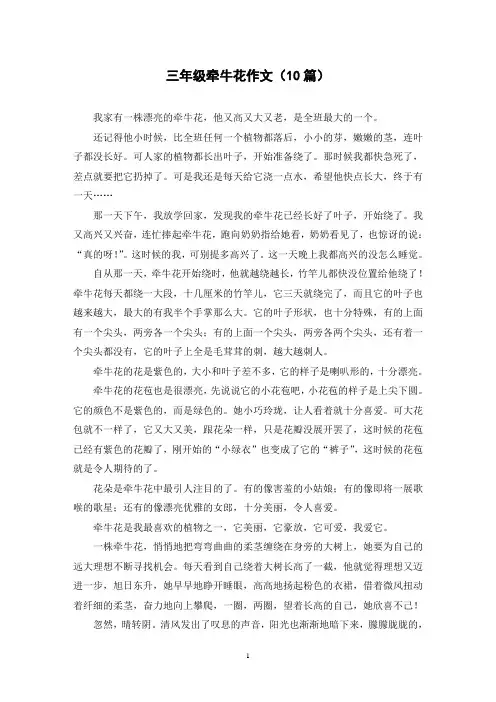 三年级牵牛花作文(10篇)