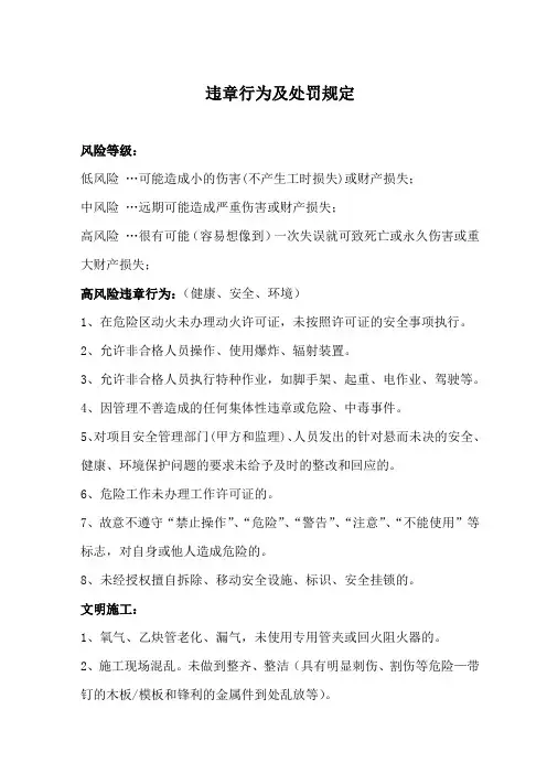 安全违章行为和处罚规定 Microsoft Word 文档 (2)