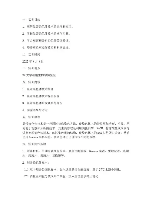 显带染色体技术实训报告