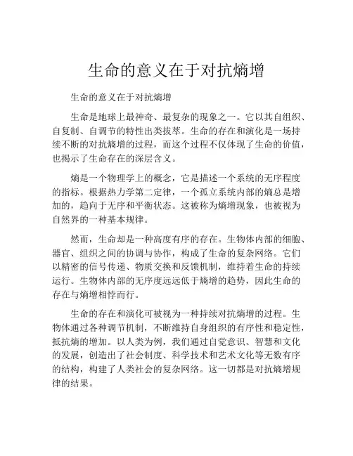 生命的意义在于对抗熵增