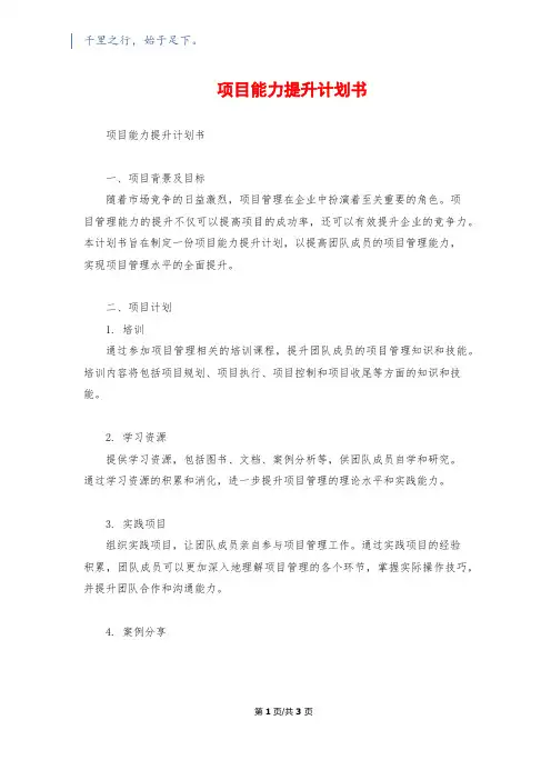 项目能力提升计划书