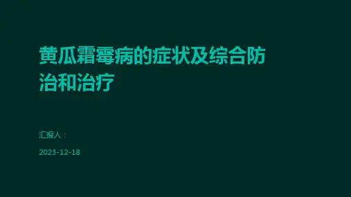 黄瓜霜霉病的症状及综合防治和治疗