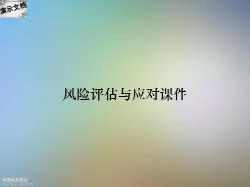 风险评估与应对课件