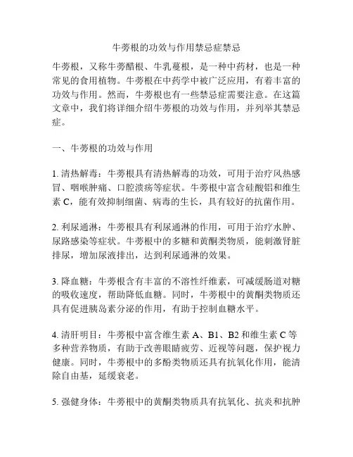 牛蒡根的功效与作用禁忌症禁忌